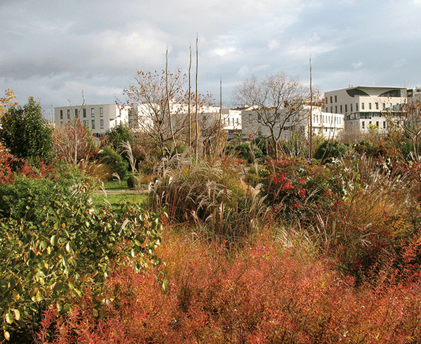 Le jardin en automne