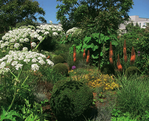 Le jardin en été