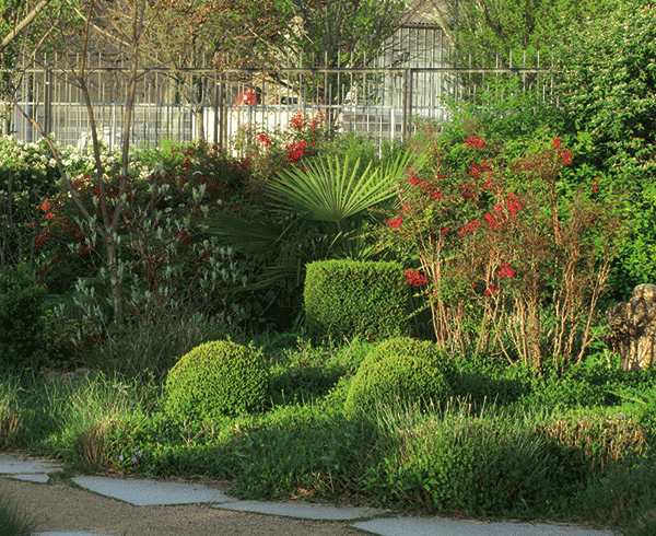 Le jardin au printemps